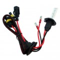 Bec xenon H7