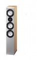 Boxe  Magnat Quantum 607