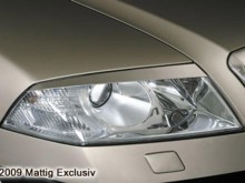 Pleoape Skoda Octavia 2